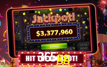 Descubra a Essência do 365gg: Nossa História e Compromissos