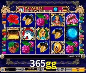 A Popularidade dos Caça-Níqueis no 365gg